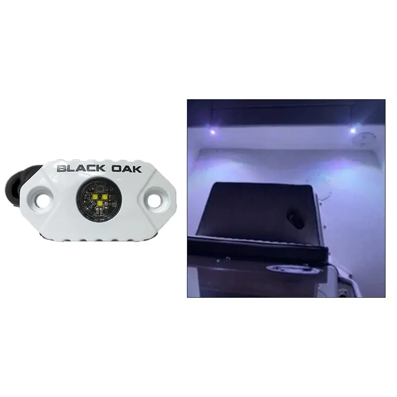 Black Oak Rock-Style Accent Light With White Leds And Matte White Housing 1