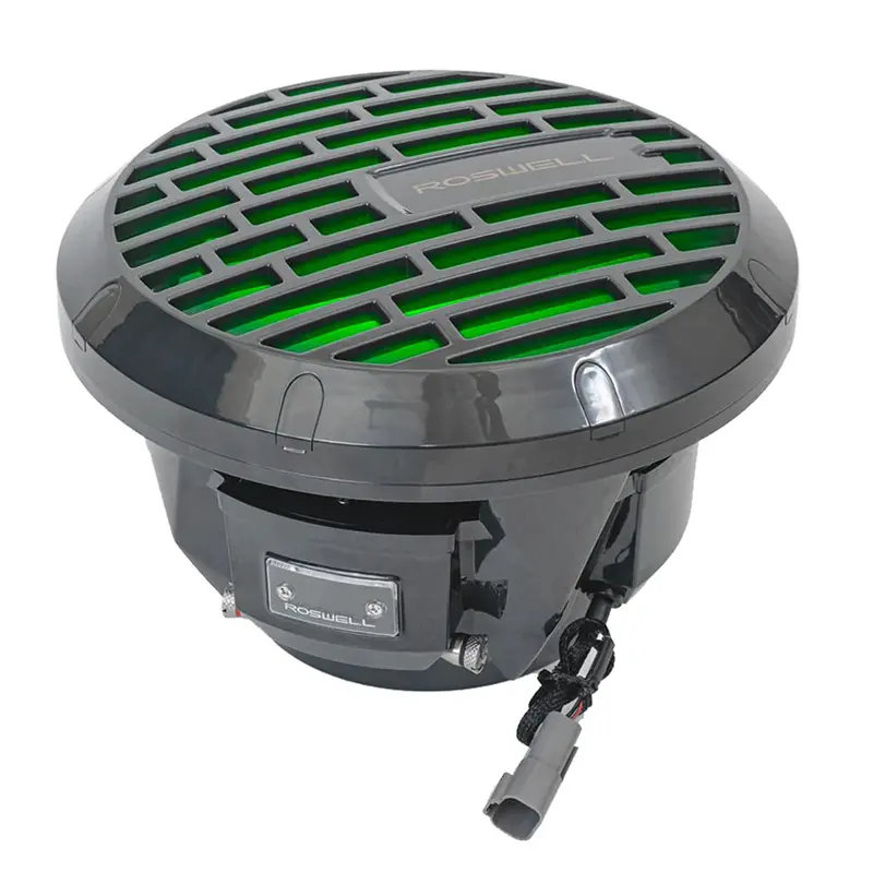 Roswell Rma 10-Inch Marine Subwoofer – Black, 250W Rms [C920-1801] 1