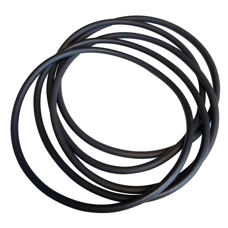 Vetus Ftr13202 O-Ring Replacement Pack — 5-Pack For Ftr1320 Water Filter 1